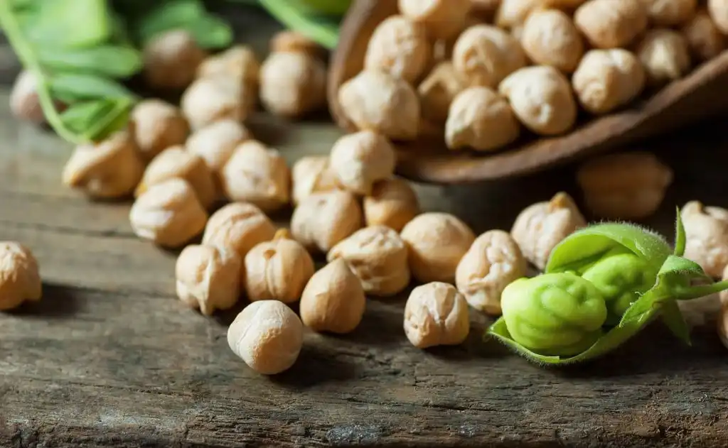 What Does Chickpea Protein Powder Do For Skin?
